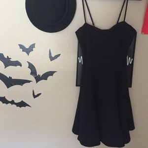 NWT Skater Dress