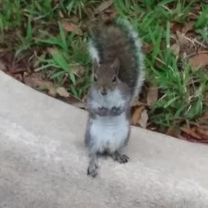 Meet your Posher, Patrick