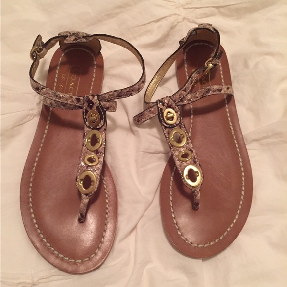 Coach Snakeskin Sandals