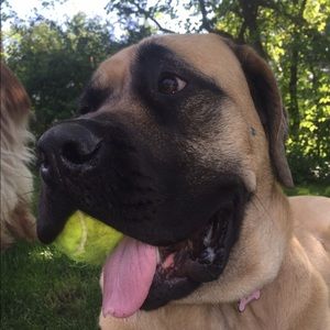 Meet your Posher, Grace