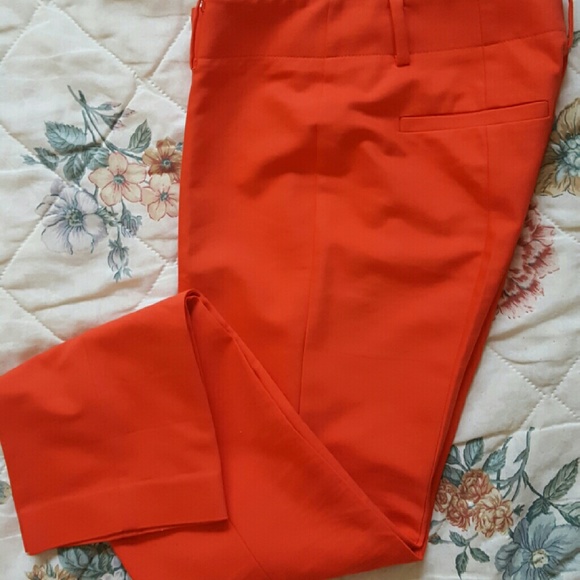 Ann Taylor