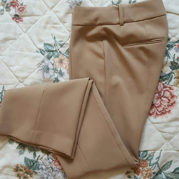 Ann Taylor