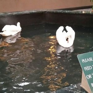 Meet your Posher, Jessenia