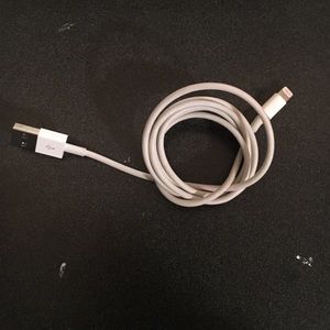 iPhone charger