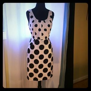 Ann Taylor Loft Polka Dot Dress
