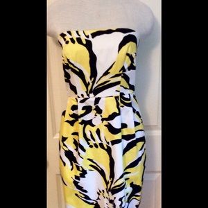Express Flower Dress Size 2