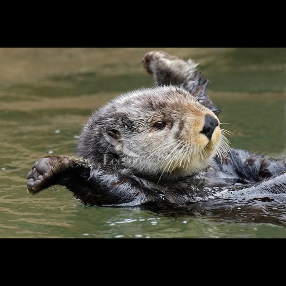 Meet your Posher, Kelly - Picture 1 of 1