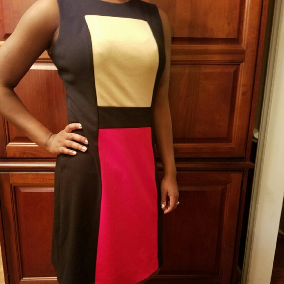 Calvein Klein Block Dress