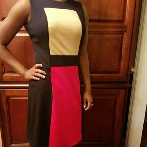 Calvein Klein Block Dress
