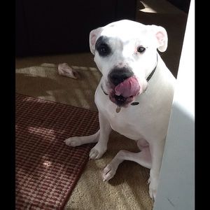 Meet your Posher, Vivian