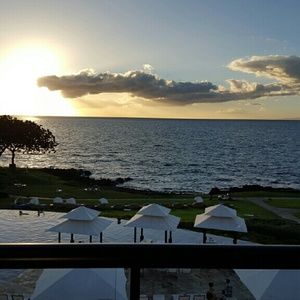 Meet your Posher, Leslie-anne