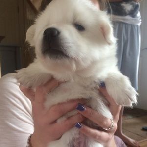 Meet your Posher, Emma