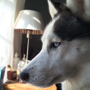 Meet your Posher, Lucia