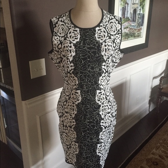 BCBG MaxAzria Rose Shadow Knit Jacquard Dress