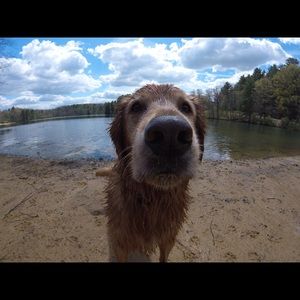 Meet your Posher, Emma