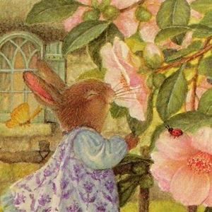 Meet your Posher, Cathy