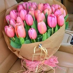 Meet your Posher, Maria