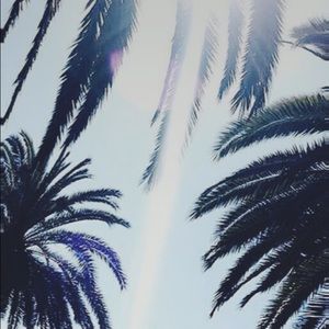 Meet your Posher, Jocelyne