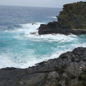 Meet your Posher, Emilia