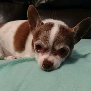 Meet your Posher, Gayle