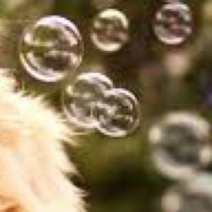 Meet your Posher, Jay