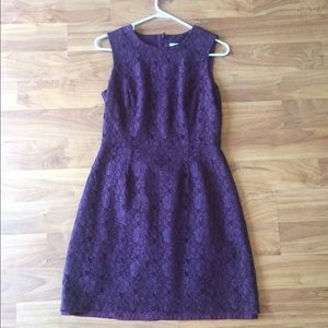 Wine Lace Shift Dress