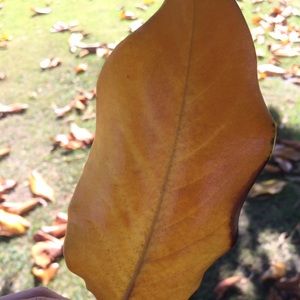 Meet your Posher, Kristy