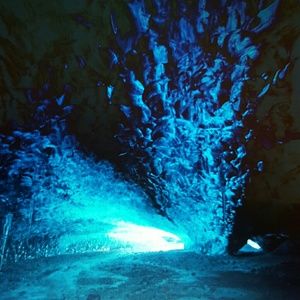 Meet your Posher, Tavia