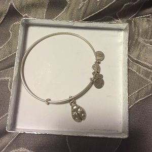 Alex and ani bracelet