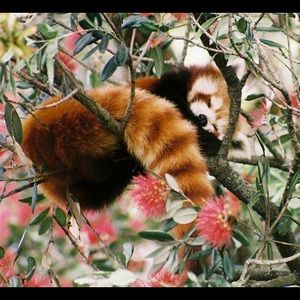 Meet your Posher, May