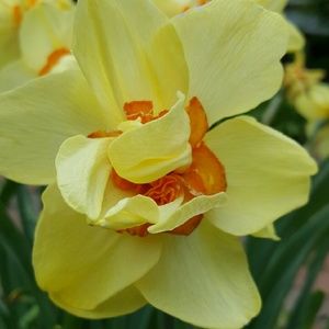 Meet your Posher, Addy