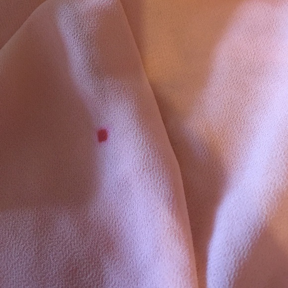 Sheer top with lace trim on bottom of shirt - Picture 3 of 3