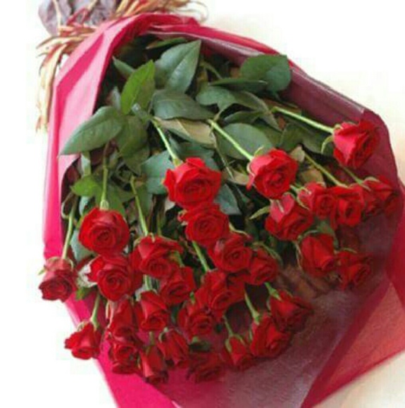 Meet your Posher, Ginette