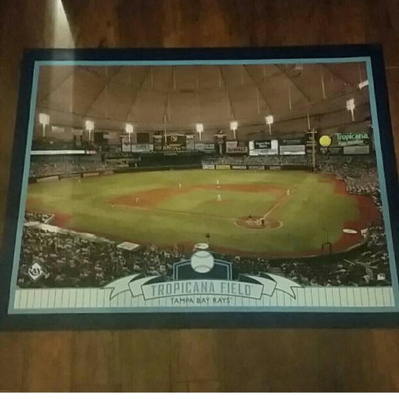 Tampa Bay rays poster