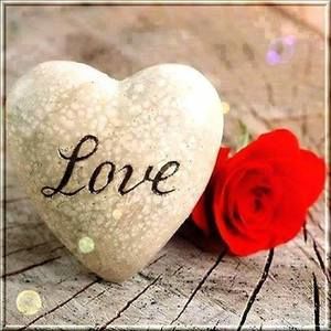 Meet your Posher, India