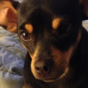 Meet your Posher, Shanee