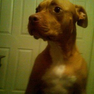 Meet your Posher, Valerie