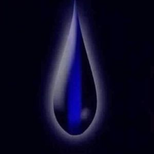 Meet your Posher, Chrissy