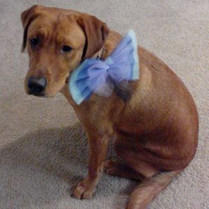 Meet your Posher, Elle