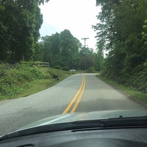 Meet your Posher, Hope