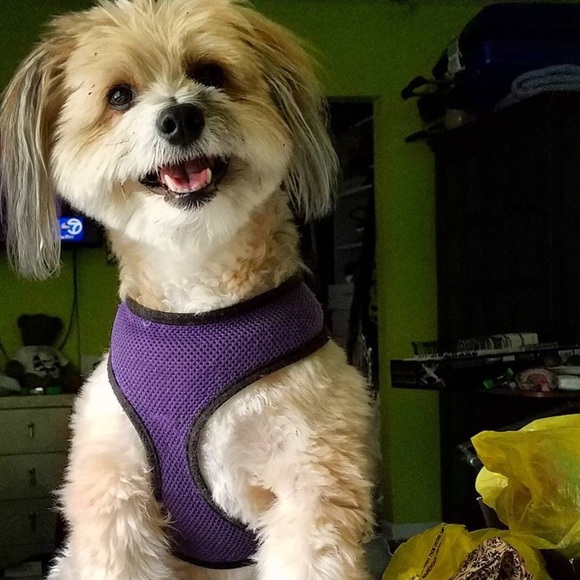 Meet your posher! - Picture 4 of 7