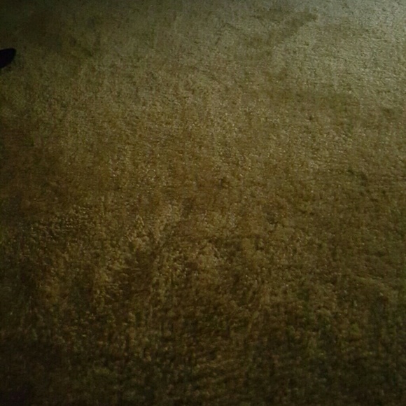 Meet your Posher, Jamila - Picture 1 of 1