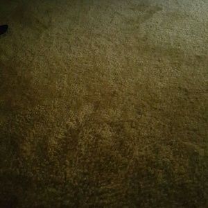 Meet your Posher, Jamila