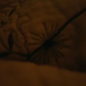 Meet your Posher, Shenee