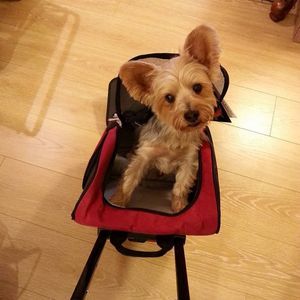 Meet your Posher, Leslie