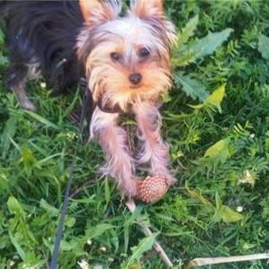 Meet your Posher, Deborah