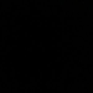 Meet your Posher, Lia