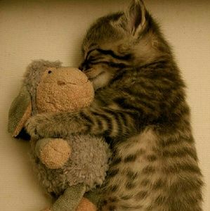 Meet your Posher, Tiamaria