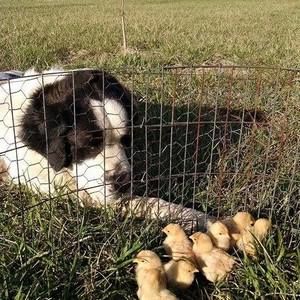 Meet your Posher, Shannan