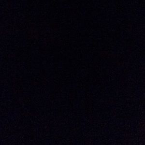 Meet your Posher, Ann